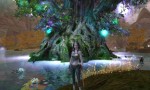 Last call for Aion closed beta