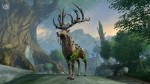 Warhammer Online is turning one