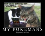 Miyamoto Gets A Cat...