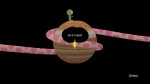 Noby Noby Boy Makes It To Jupiter
