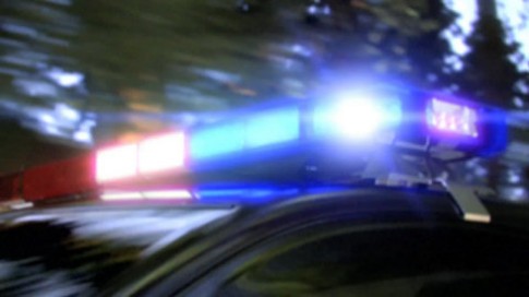 New Need For Speed: Hot Pursuit Screenshots 