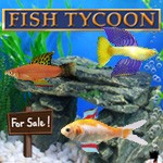 Swimming with the Fishes