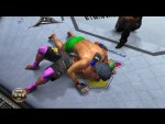 UFC: Undisputed 2010
