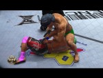 UFC: Undisputed 2010