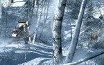 First Assassin's Creed III Screens Get Out